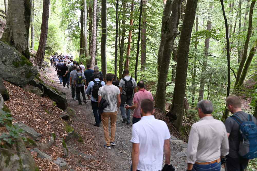 Netzwerk Wanderung