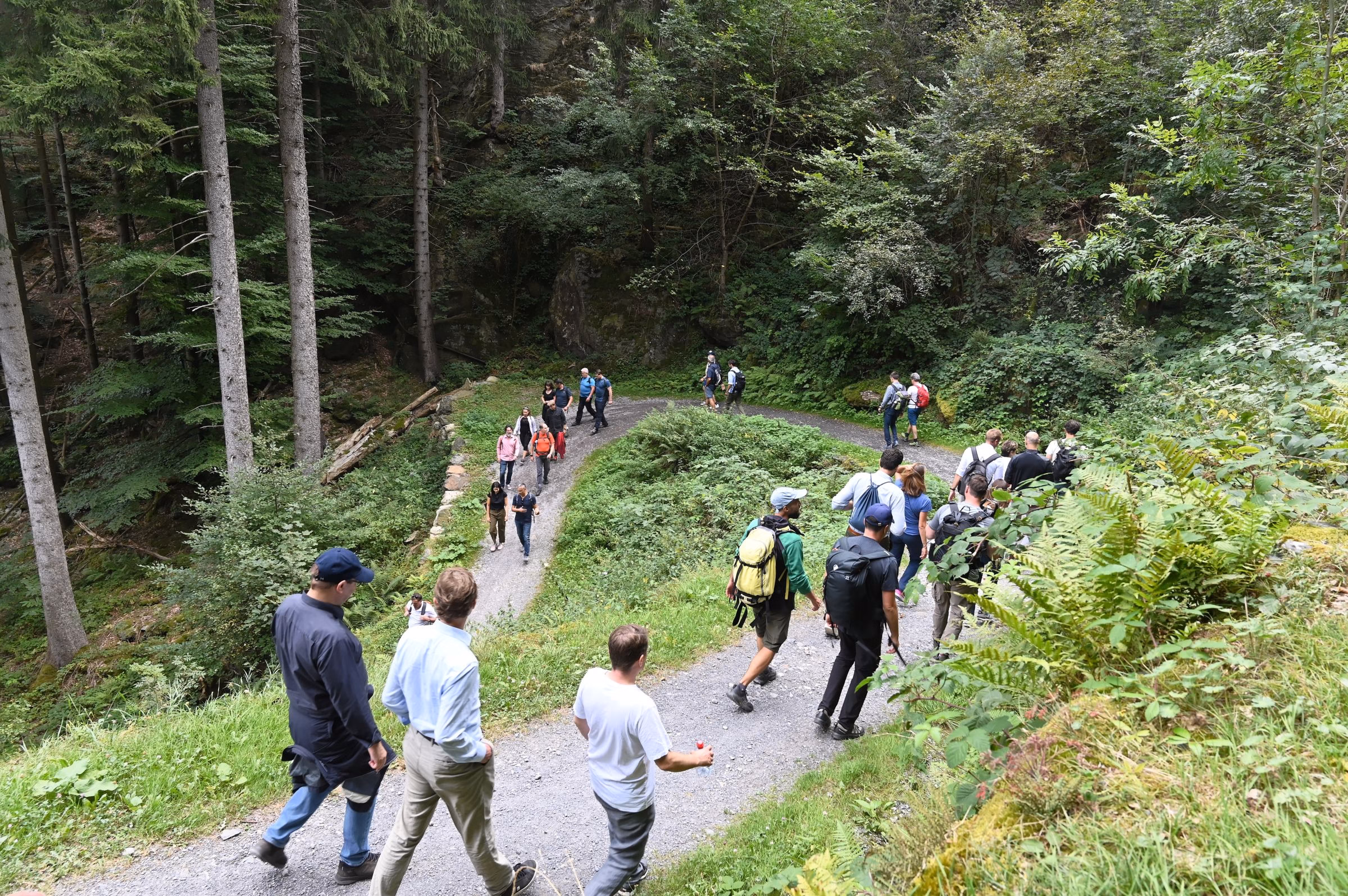 Netzwerk Wanderung 2